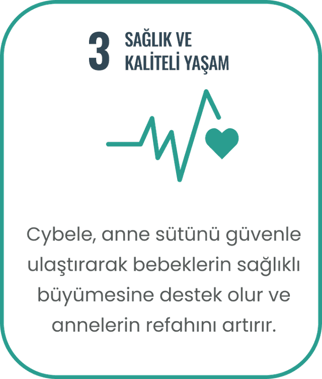 Toplumsal Fayda vektörü
