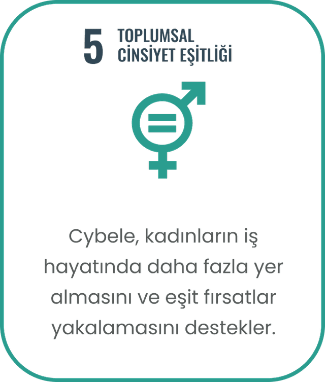 Toplumsal Fayda vektörü