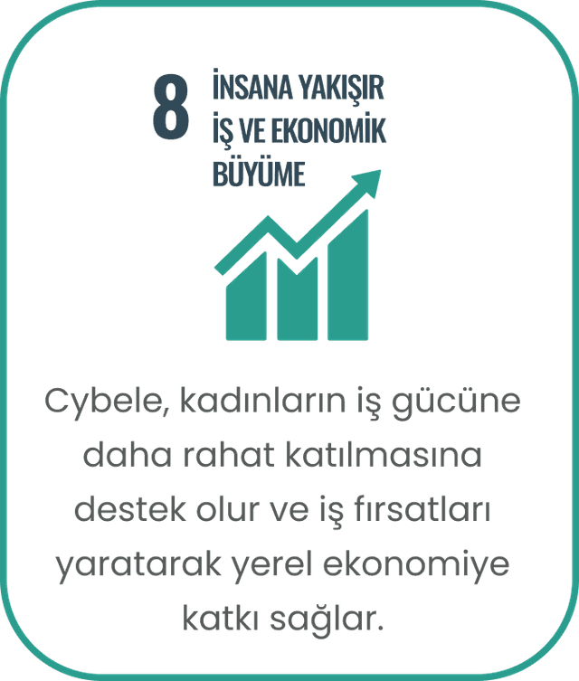 Toplumsal Fayda vektörü