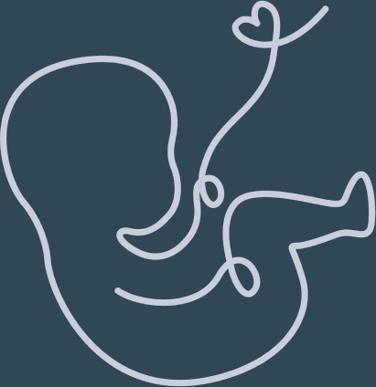 Fetus vektörü
